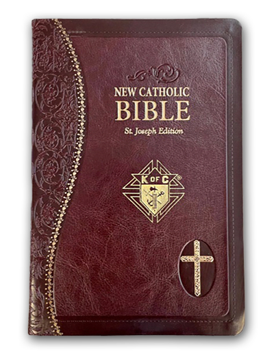 609-19BG - Beautiful Catholic Bible
