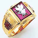 Fourth Degree Ring shown with Ruby Stone