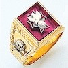 Fourth Degree Ring shown with Ruby Stone